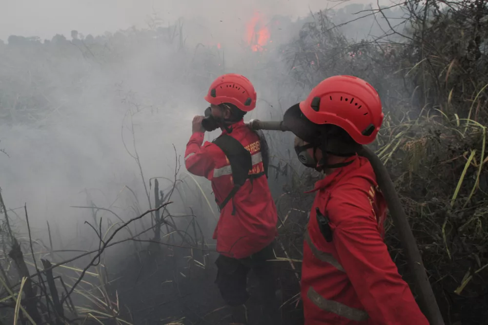 Firefighters attempt to extinguish a wildfire burning through a peatland field in Ogan Ilir, South Sumatra, Indonesia, Monday, Aug. 24, 2026. (AP Photo/Muhammad Hatta)