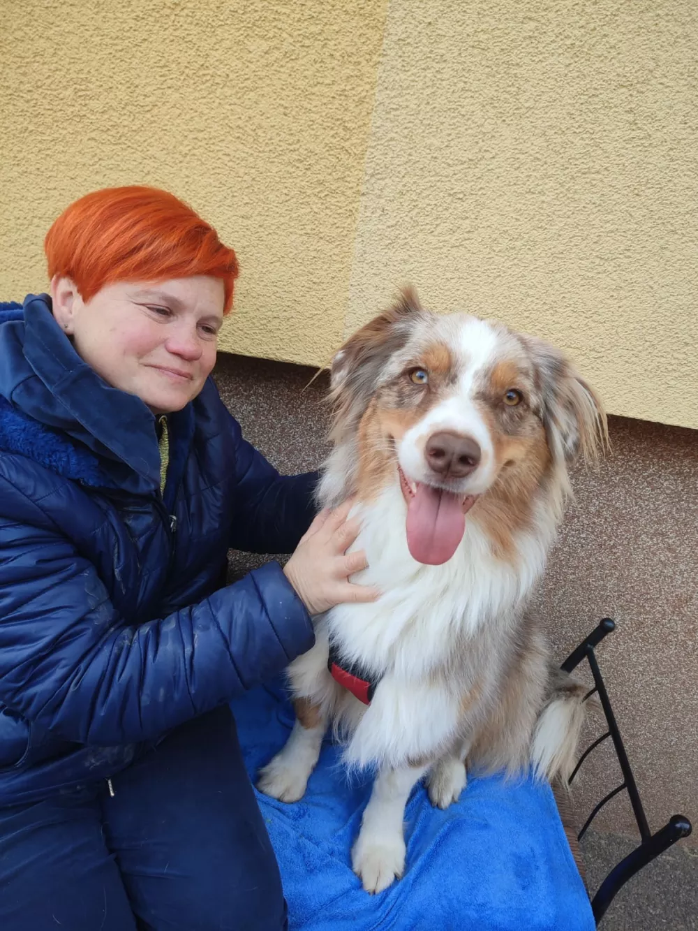 Maribor, Finzgarjeva ulica.Sonja Zupanic, Pasji hotel in varstvo pri Oliju.