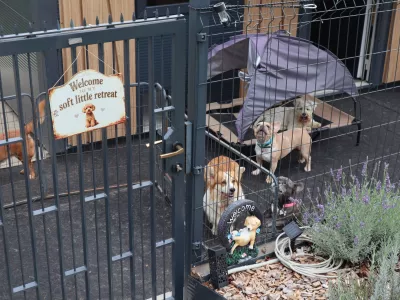 Lenart, Spodnji Zerjavci.Royal Dog and Cat, pasji in macji salon ter hotel.