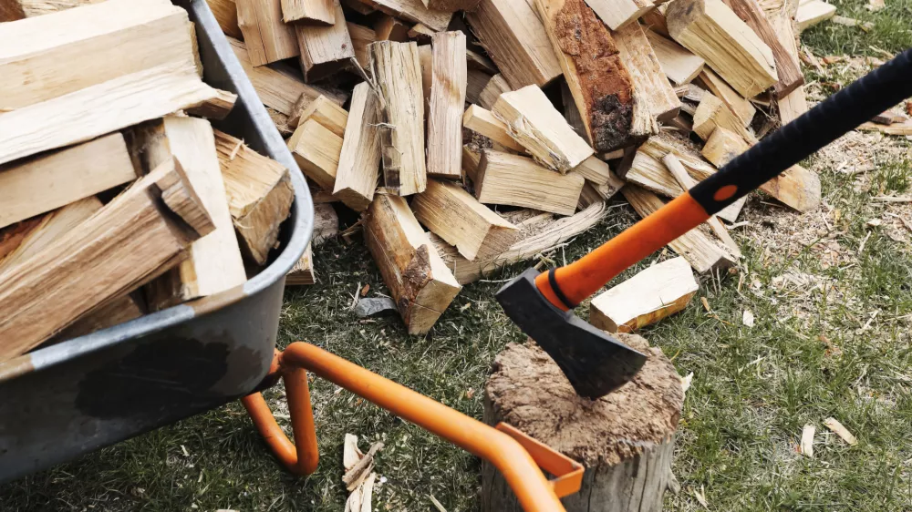 Nasekana drva. Slika je simbolična. / Foto: Istock
