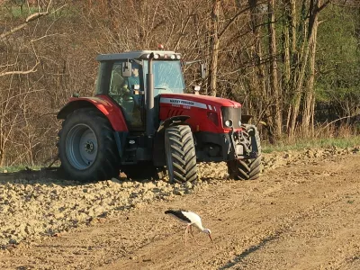 kmetijstvo, traktor, njiva, oranje. Foto: Tatjana Pihlar 