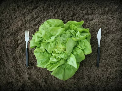 fork and knife in soil and lettuce -healthy eating concept / Foto: Vaivirga