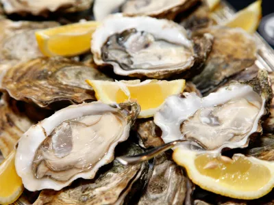 Close up of a platter of oysters with lemon wedges