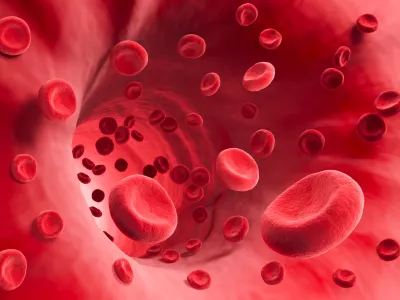 Red Blood Cell in an artery, Blood Flow, medical human health-care Concept Background, 3d rendering.