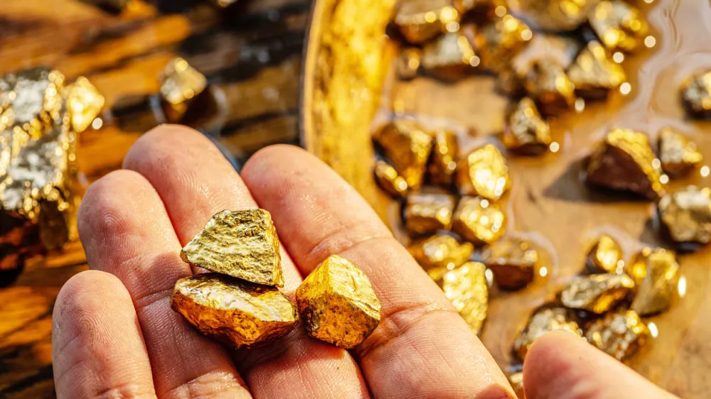 Gold nuggets on a brass plate and on palm. Imitation gold nuggets.