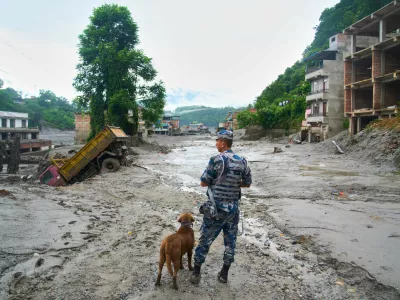 A policeman with a sniffer dog looks at the damage in the aftermath of flash floods in Devighat in the Nuwakot district in Nepal, Thursday, Aug 27, 2026. (AP Photo/Niranjan Shrestha)