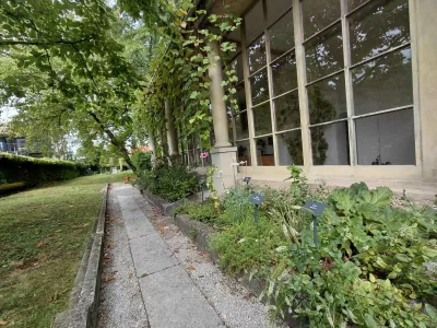 Zelena oaza sredi Ljubljane: Od Sivka do čebel in skrivnega ginka