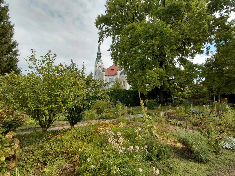 Zelena oaza sredi Ljubljane: Od Sivka do čebel in skrivnega ginka
