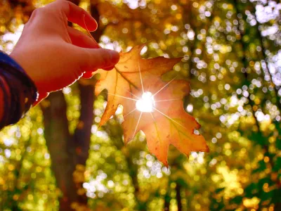 Jesen se bliža, s tem pa tudi drugačne temperature. Spremembe lahko občutimo že v prihodnjih dneh. / Foto: Istock