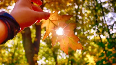 Jesen se bliža, s tem pa tudi drugačne temperature. Spremembe lahko občutimo že v prihodnjih dneh. / Foto: Istock