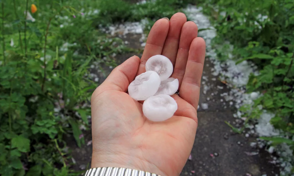 big hailstones after a summer thunderstorm
