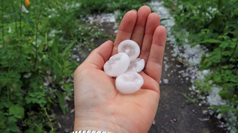 big hailstones after a summer thunderstorm