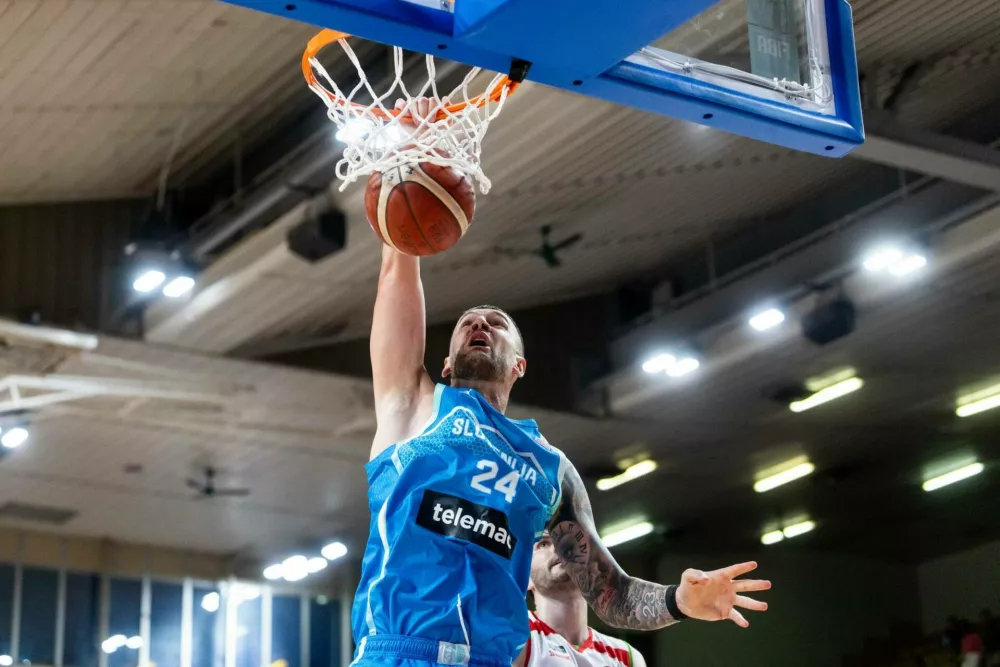 Alen Omić, Slovenija, Madžarska