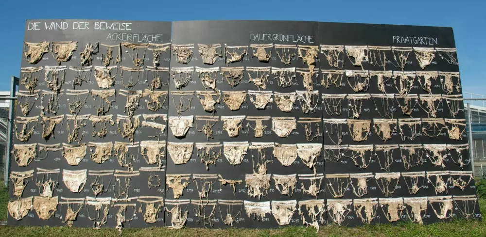 zbor več kot 2000 kosov bombažnega spodnjega perila v različnih fazah razgradnje, ki so bili zakopani na poljih, travnikih in vrtovih. (Slika: Priska Koller, Agroskop) / Foto: Priska Koller, Agroskop