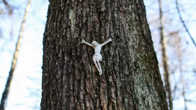 - 20.02.2024. - Simbolična fotografija, Jezus na drevesu, vera, kr&scaron;čanstvo, religija, Katoli&scaron;ka cerkev, religija.//FOTO: Bojan Velikonja