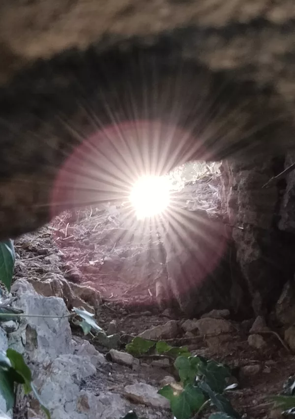 sončni žarek ampus / Foto: Zavod Zvezdne Poti 