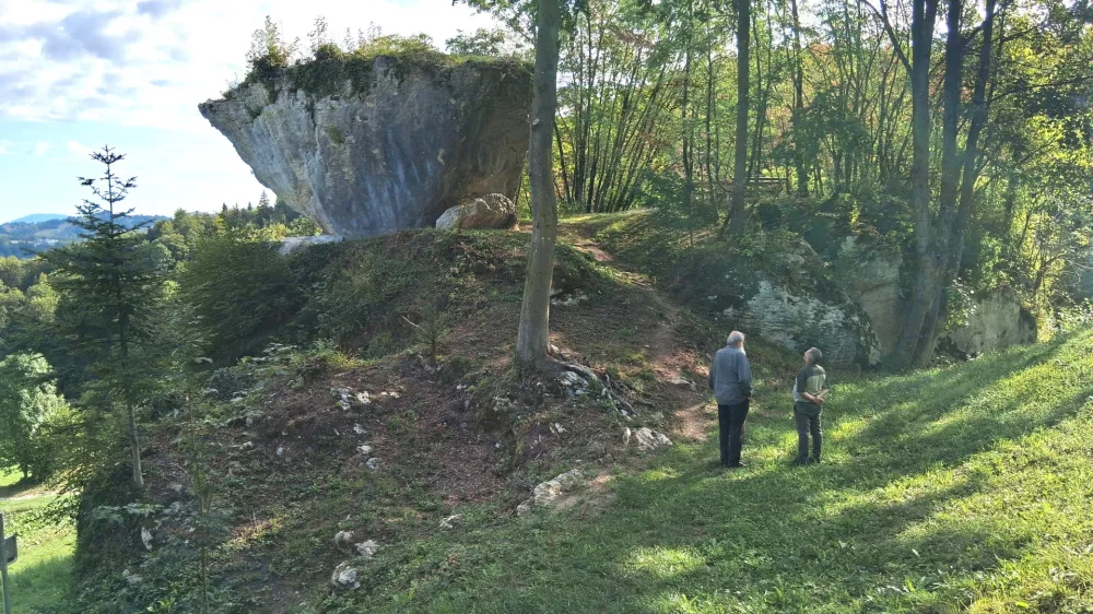 ampus megalit Planina pri Sevnici / Foto: Katja Petrovec 