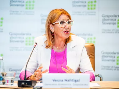 Ljubljana, GZS.Novinarska konferenca GZS s predstavitvijo kriticnih vidikov slovenskega podpornega ekosistema, ki upocasnjujejo preboj Slovenije med mocnejse inovatorke kljub znanju in mocni industrijski osnovi.Generalna direktorica GZS Vesna Nahtigal.