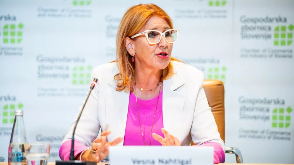 Ljubljana, GZS.Novinarska konferenca GZS s predstavitvijo kriticnih vidikov slovenskega podpornega ekosistema, ki upocasnjujejo preboj Slovenije med mocnejse inovatorke kljub znanju in mocni industrijski osnovi.Generalna direktorica GZS Vesna Nahtigal.