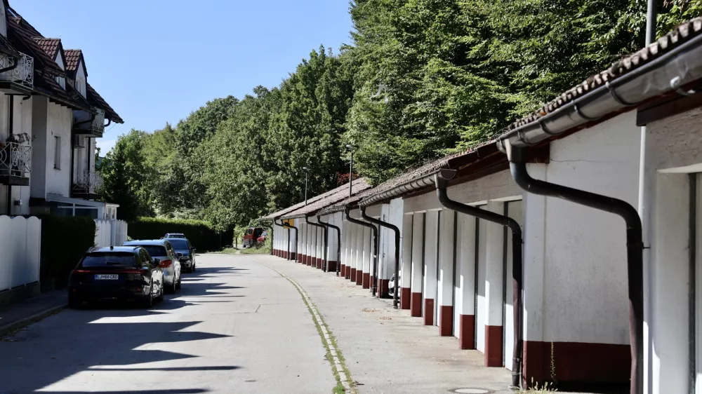 Stanovalci proti podiranju dreves ob avtocesti