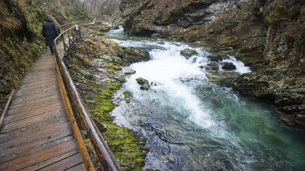 Gorje, soteska Vintgar.Blejski vintgar je 1,6 km dolga soteska na Gorenjskem, skozi katero tece reka Radovna.