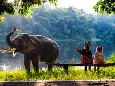 Rear view unrecognized two young Akha hill tribe sisters wearing colorful handmade traditional outfits and beaded headdresses sitting together on wooden bench, happily watching Asian elephant bathing in natural jungle pond surrounded by lush greenery in Northern Thailand