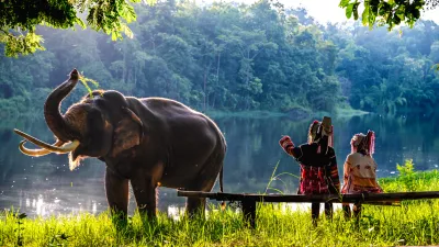 Rear view unrecognized two young Akha hill tribe sisters wearing colorful handmade traditional outfits and beaded headdresses sitting together on wooden bench, happily watching Asian elephant bathing in natural jungle pond surrounded by lush greenery in Northern Thailand