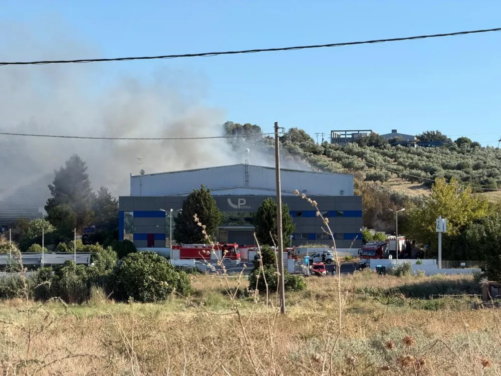 Firefighting vehicles on site as smoke rises following the crash of a Greek F-4 Phantom fighter jet during the Athens Flying Week air show in Tanagra, Greece, September 5, 2026. Picture taken with a mobile phone. REUTERS/Stamos Prousalis