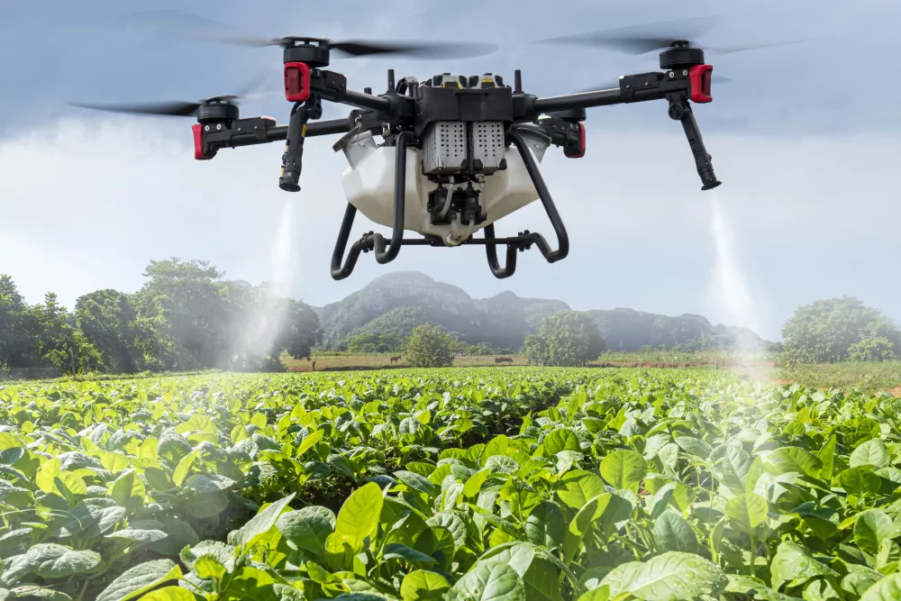An industrial drone on green field. sprays useful pesticides to increase productivity and destroy harmful insects. increase productivity. Modern technologies in agriculture