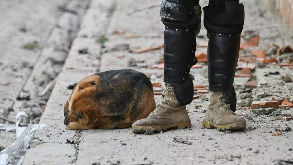 A dog sleeps next to a military officer among the debris, a day after loud explosions that left people dead and injured at a military barracks, in Viacha, Bolivia, September 5, 2026. REUTERS/Claudia Morales