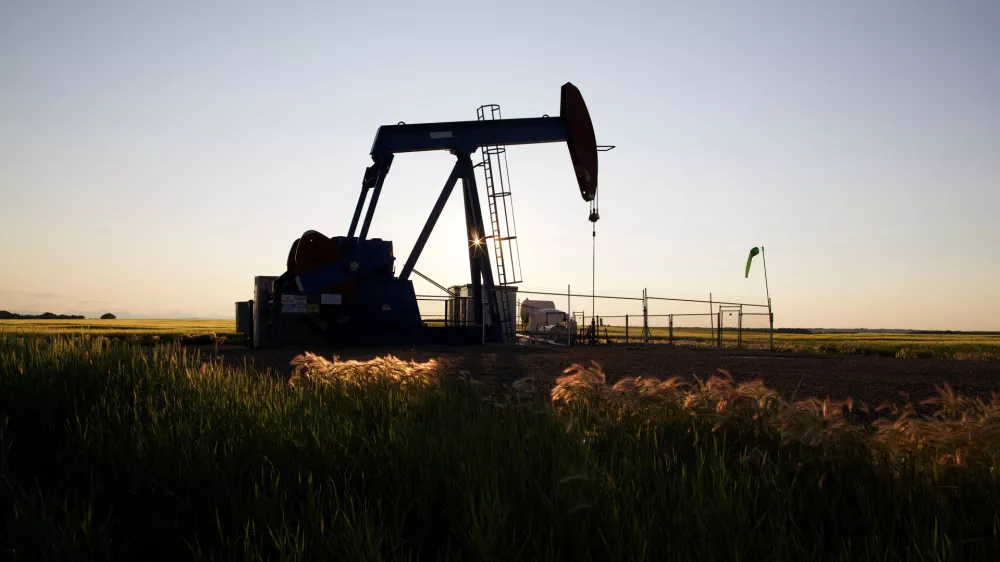 An oil pump jack pumps oil in a field near Calgary, Alberta, July 21, 2014. Pump jacks are used to pump crude oil out of the ground after an oil well has been drilled. REUTERS/Todd Korol