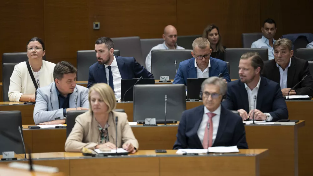Nedeljko TodorovićResni.caresnica15.06.2026 Državni zbor - parlament - Izredna seja DZ, na kateri bodo odločali o spremembah zakona o lokalnih volitvah ter obravnavali mandatno-volilne zadeve, v okviru katerih bi DZ potrdil mandata nadomestnima poslankamafoto: Nik Erik Neubauer