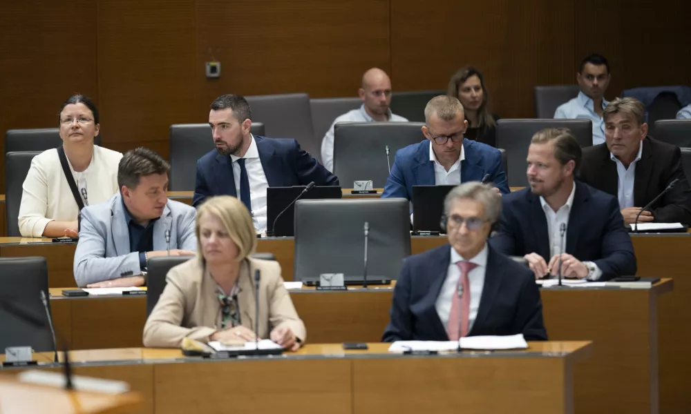 Nedeljko TodorovićResni.caresnica15.06.2026 Državni zbor - parlament - Izredna seja DZ, na kateri bodo odločali o spremembah zakona o lokalnih volitvah ter obravnavali mandatno-volilne zadeve, v okviru katerih bi DZ potrdil mandata nadomestnima poslankamafoto: Nik Erik Neubauer