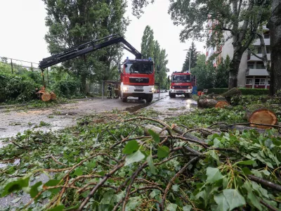 12.07.2023. Zagreb - Iznenadno nevrijeme u srijedu ujutro pogodilo je grad. Zagrebacki vatrogasci u samo sat vremena imali su 11 intervencija uklanjanja stabla. Photo: Igor Kralj/PIXSELL