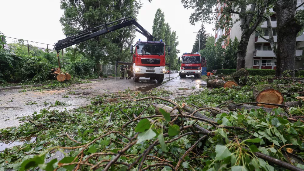 12.07.2023. Zagreb - Iznenadno nevrijeme u srijedu ujutro pogodilo je grad. Zagrebacki vatrogasci u samo sat vremena imali su 11 intervencija uklanjanja stabla. Photo: Igor Kralj/PIXSELL
