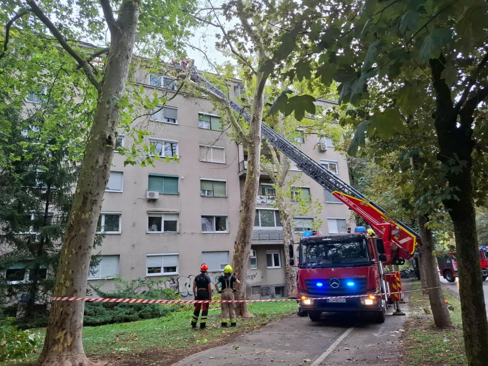 podrto drevo neurje topniska cesta foto luka cjuha