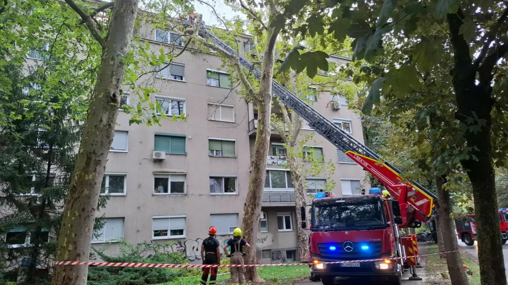 podrto drevo neurje topniska cesta foto luka cjuha