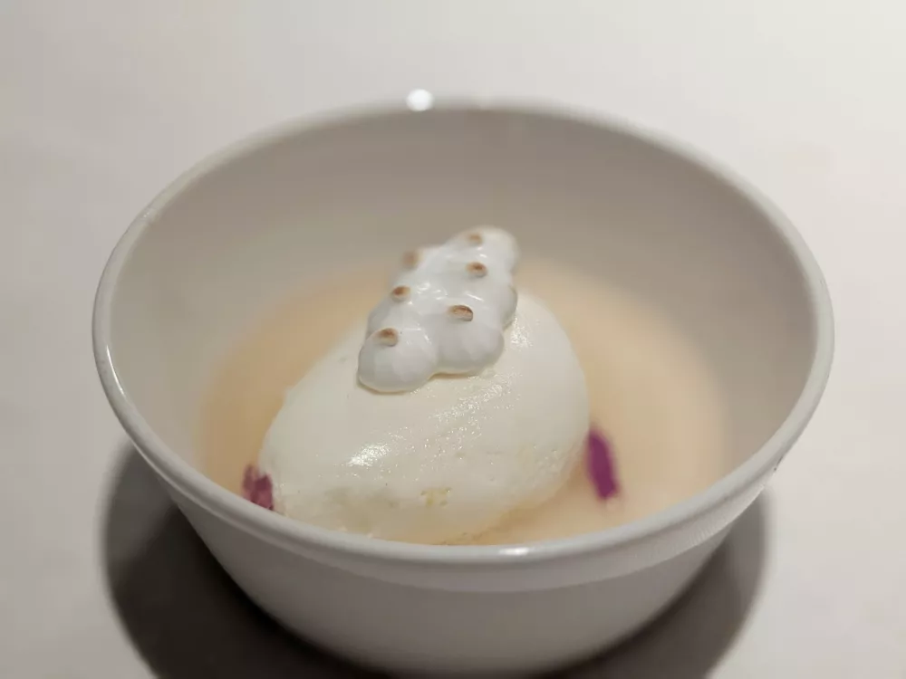 Sorbet iz zgo&scaron;čenega verjusa z limonino peno in meringo, Gostilna Repovž