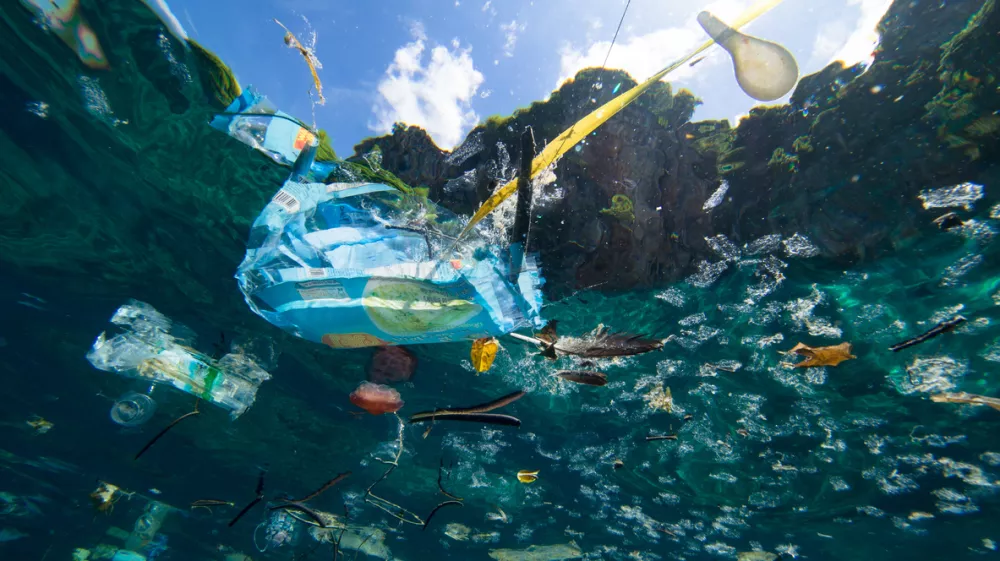 Plastic debris floating on the ocean surface, shot underwater.