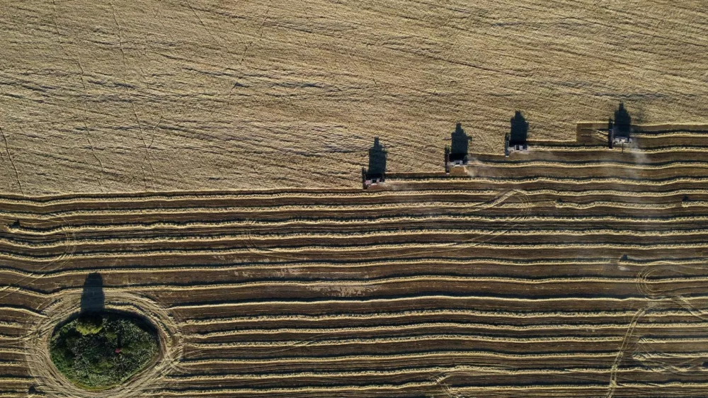 A drone view of combines harvesting wheat in a field in the Krasnoyarsk Region, Russia, September 9, 2026. REUTERS/Vladislav Nekrasov  TPX IMAGES OF THE DAY / Foto: Vladislav Nekrasov