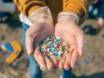 Detail of hands showing microplastics on the beach / Foto: Doble-d