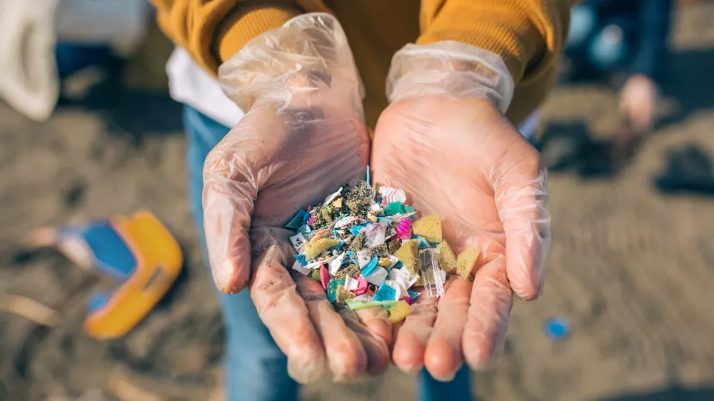 Detail of hands showing microplastics on the beach / Foto: Doble-d