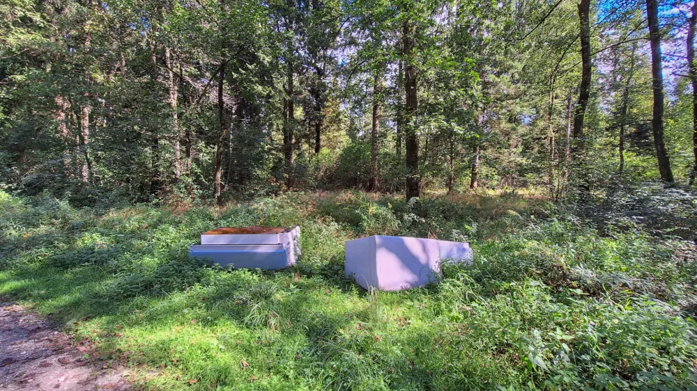 24.09.2025. Odvržena sedežna garnitura v gozdu v Krajinskem parku Barje na območju Gmajnic. Onesnaževanje, ekologija. Foto: Bojan Velikonja 