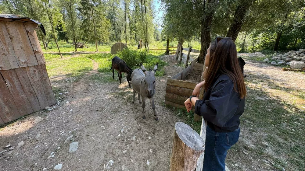 Kamp Menina Rečica ob Savinji
