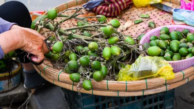 An elderly Vietnamese woman cuts fresh green Areca nuts on a traditional bamboo tray at a street market stall in Hoi An Vietnam