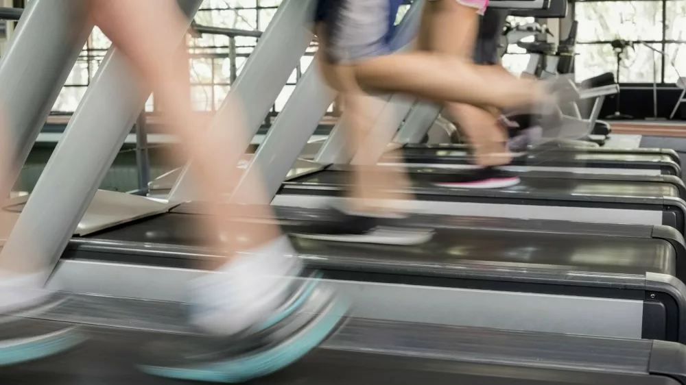 Women and men running on a treadmill at the gym,Image: 280009115, License: Royalty-free, Restrictions:, Model Release: no / Foto: Profimedia