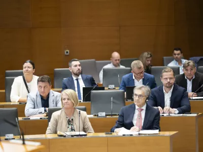 Nedeljko TodorovićResni.caresnica15.06.2026 Državni zbor - parlament - Izredna seja DZ, na kateri bodo odločali o spremembah zakona o lokalnih volitvah ter obravnavali mandatno-volilne zadeve, v okviru katerih bi DZ potrdil mandata nadomestnima poslankamafoto: Nik Erik Neubauer