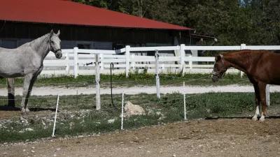 Grožnje in izsiljevanje: Za jahanje bolj&scaron;ih konjev je od njih pričakoval spolne odnose