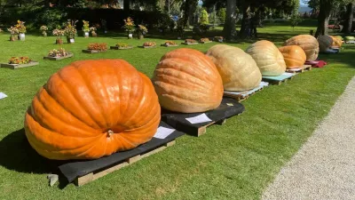 Leto&scaron;nja zmagovalna buča je tehtala 533 kilogramov. / Foto: Mozirski Gaj