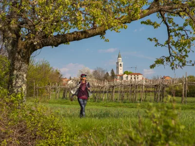 V okviru festivala bodo organizirani tudi pohodi. F Visit Kras